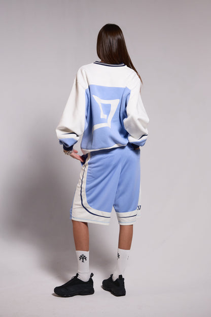 INFAMOUS DEEPER V NECK VINTAGE CREWNECK LIGHT BLUE